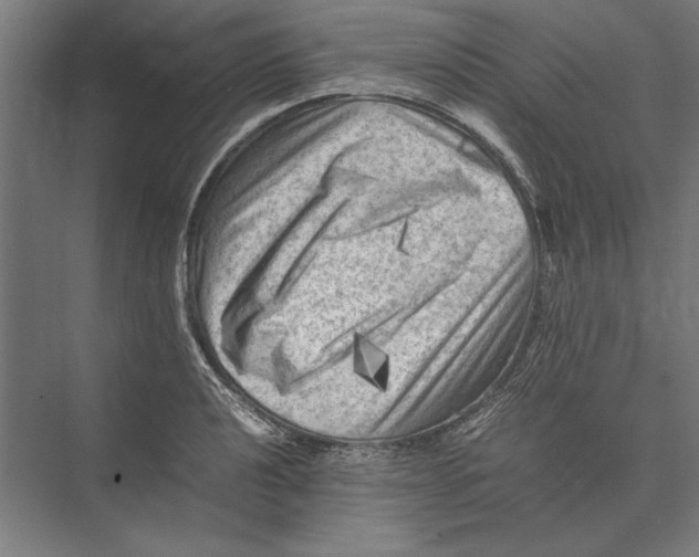 X0000075381040200610061833