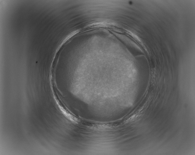 X0000075381042200610061834