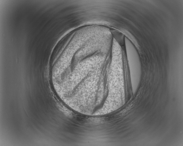 X0000075381044200610061834