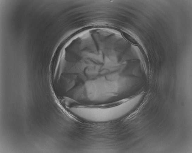 X0000075381045200610061834