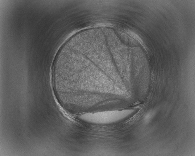 X0000075381047200610061834