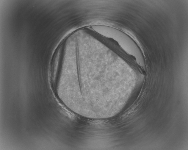 X0000075381048200610061834