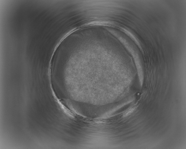 X0000075381050200610061834