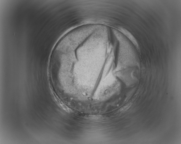 X0000075381052200610061834