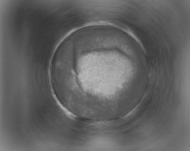 X0000075381054200610061834