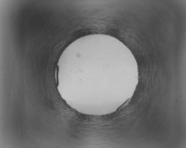 X0000075381057200610061833