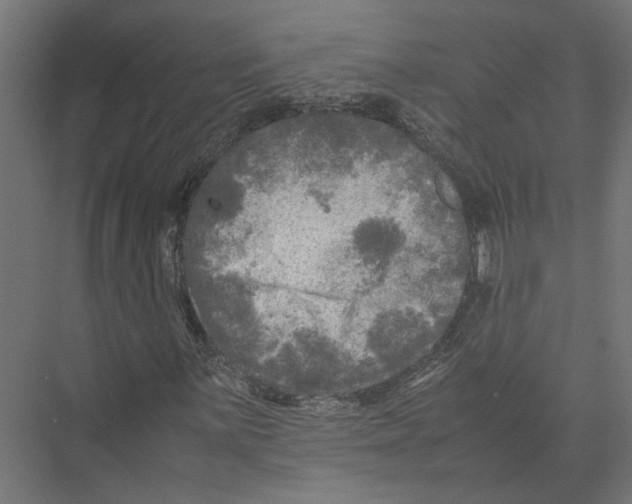 X0000075381059200610061833