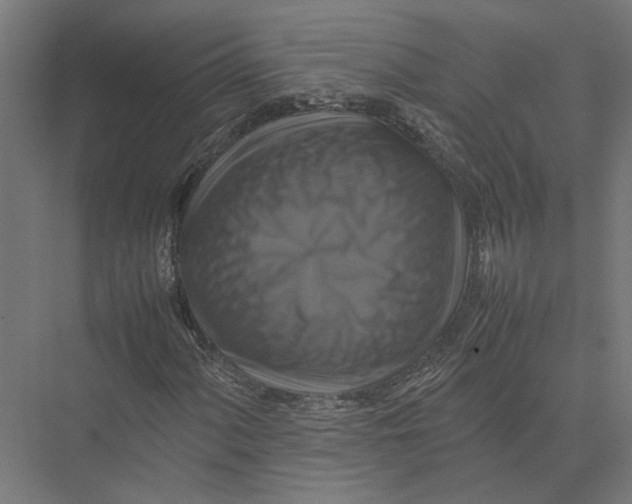 X0000075381060200610061833