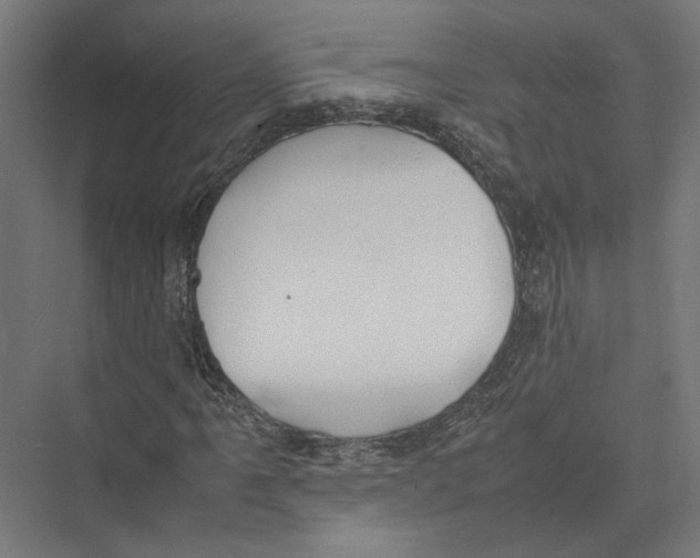 X0000075381061200610061833