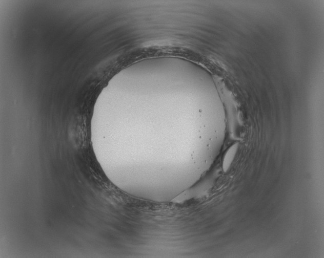 X0000075381062200610061833