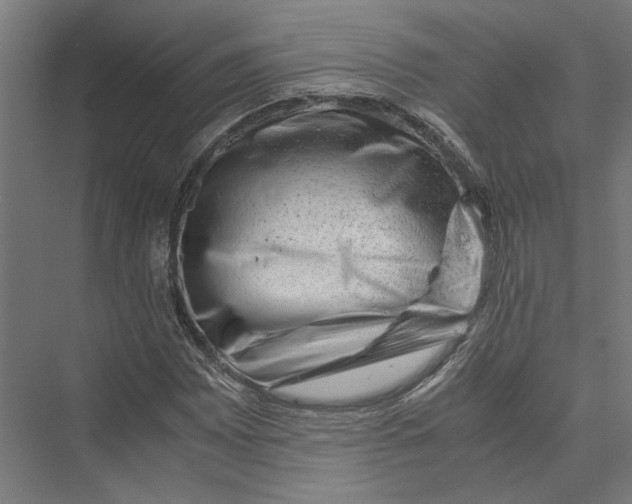 X0000075381065200610061833