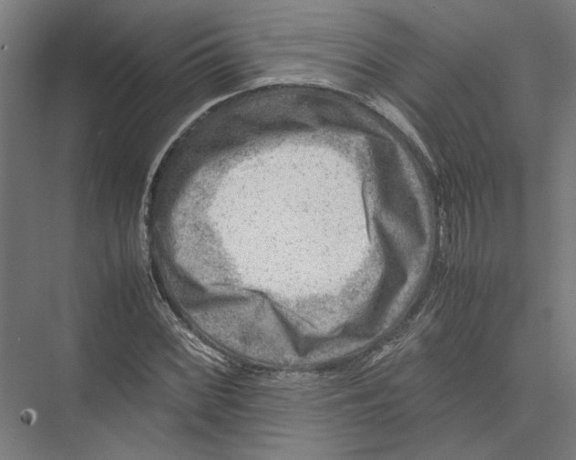 X0000075381068200610061833