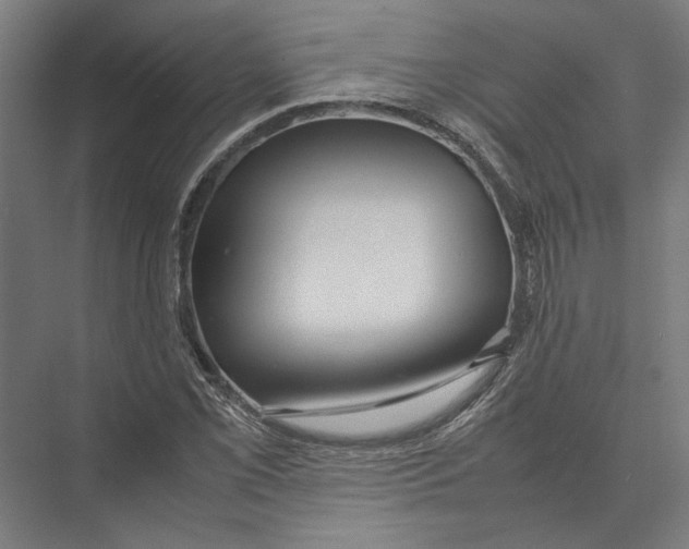 X0000075381069200610061833