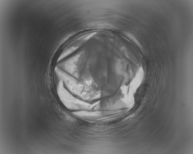 X0000075381071200610061833