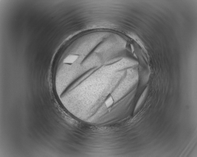 X0000075381072200610061833