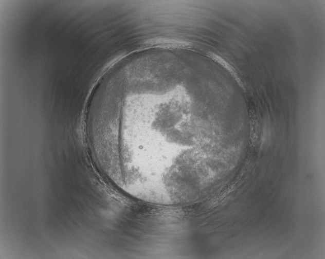 X0000075381074200610061833