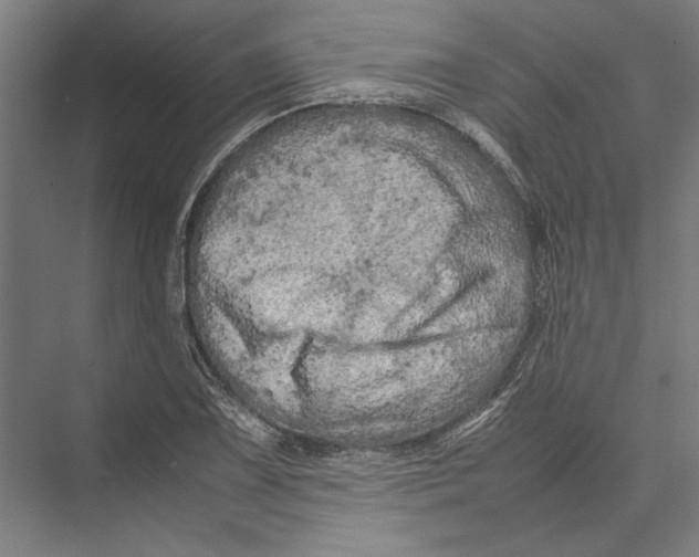 X0000075381075200610061833