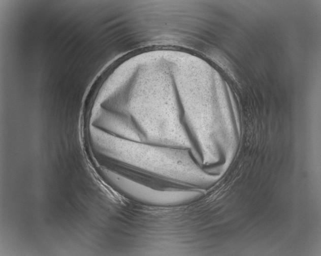 X0000075381076200610061833