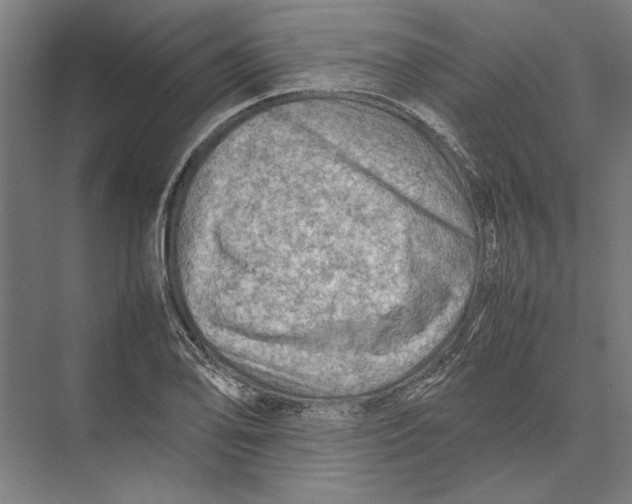 X0000075381078200610061833