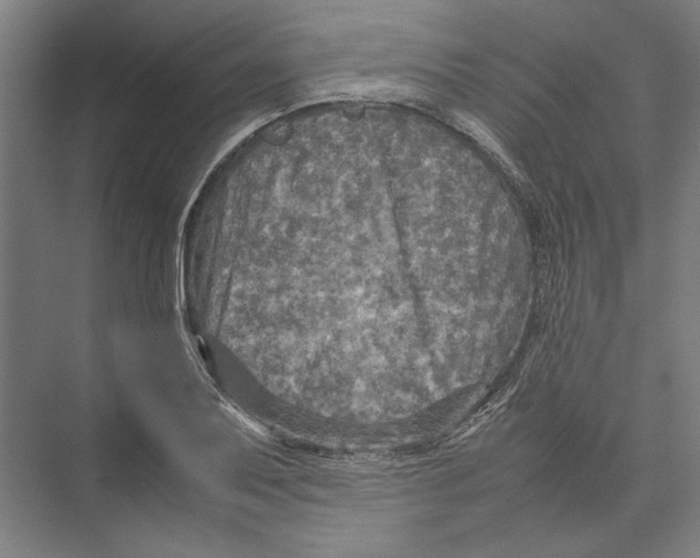 X0000075381079200610061833