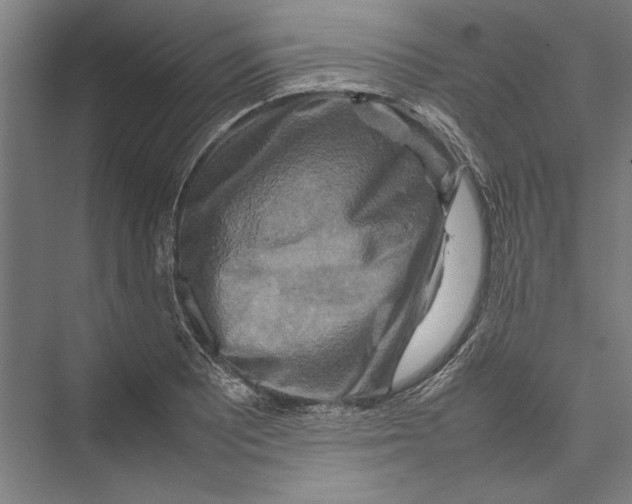 X0000075381081200610061833