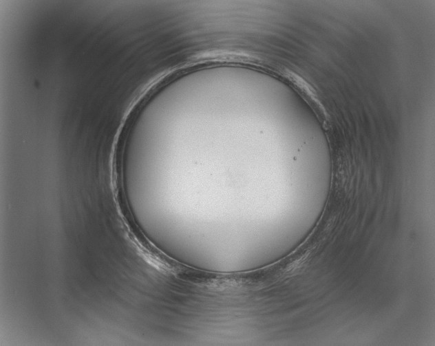 X0000075381082200610061833