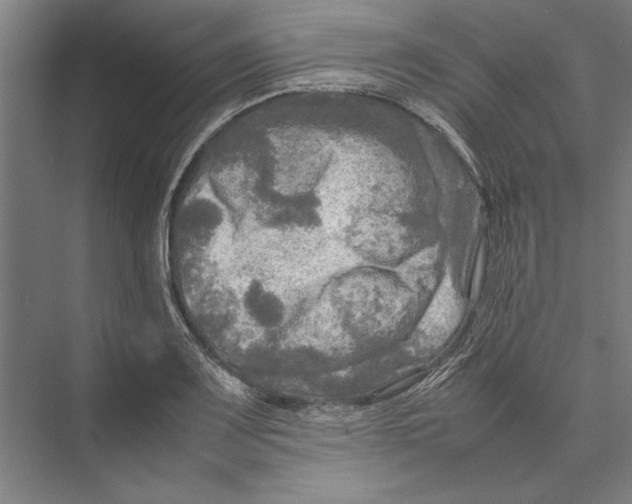 X0000075381083200610061833