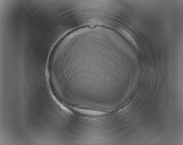 X0000075381084200610061832