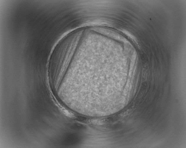 X0000075381086200610061832