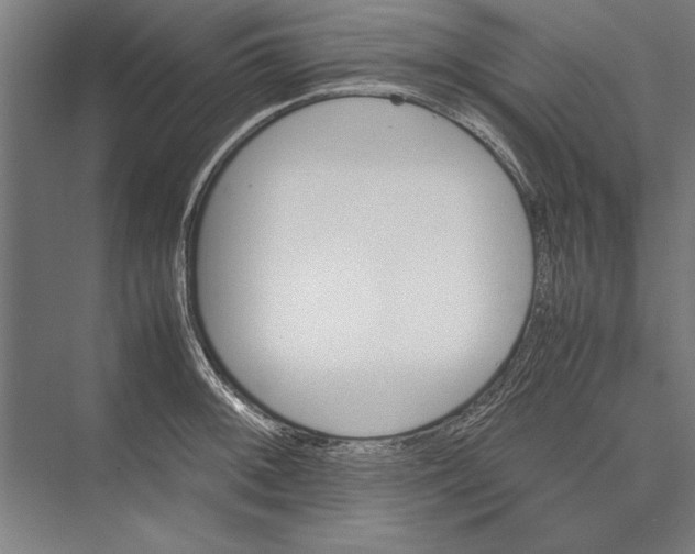 X0000075381092200610061832