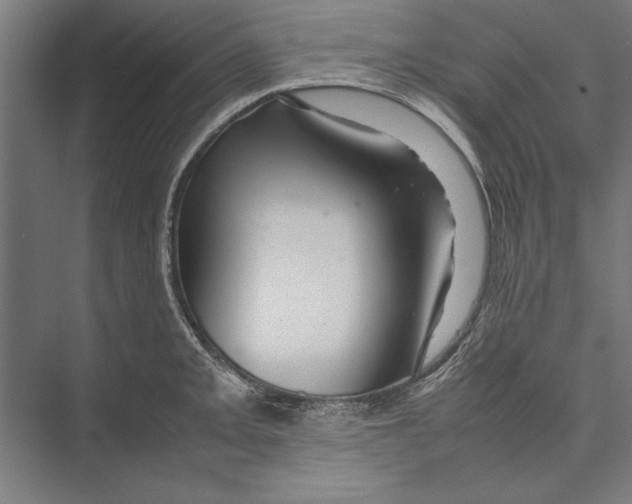 X0000075381093200610061832