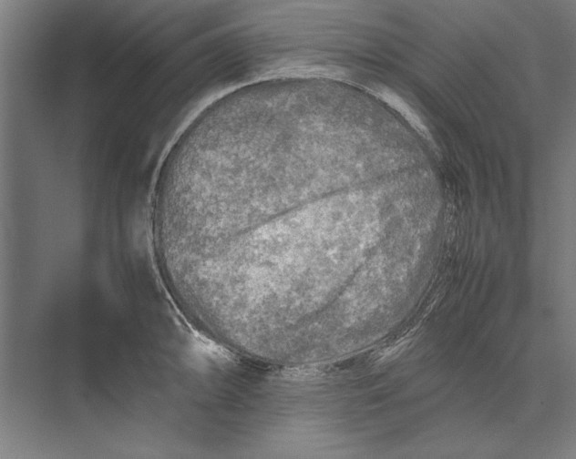 X0000075381094200610061832