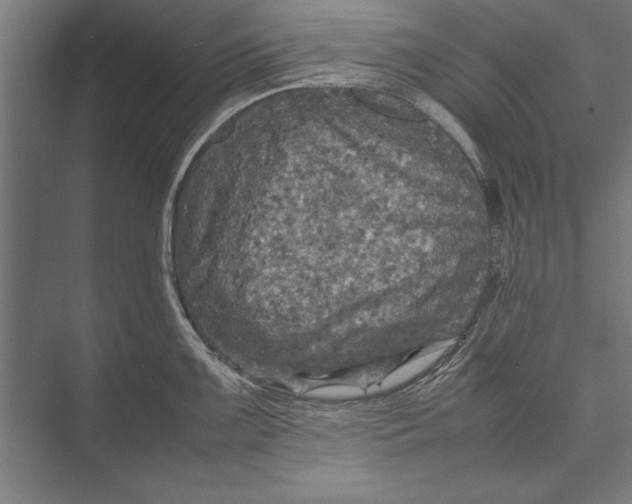 X0000075381099200610061832