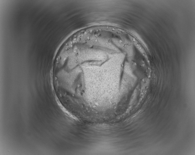 X0000075381100200610061832