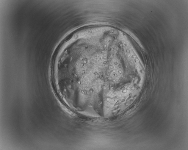 X0000075381101200610061832