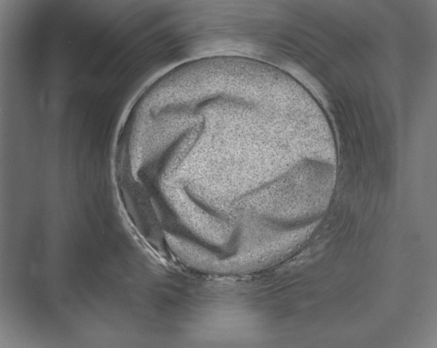 X0000075381104200610061832