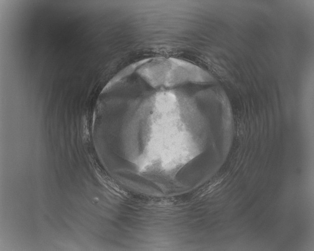 X0000075381106200610061831