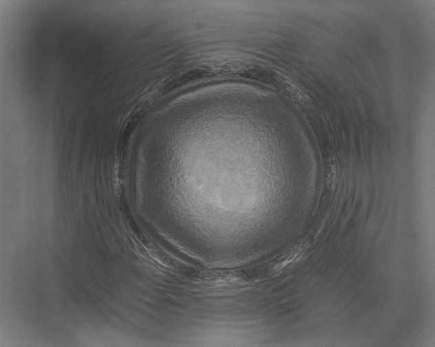 X0000075381108200610061831