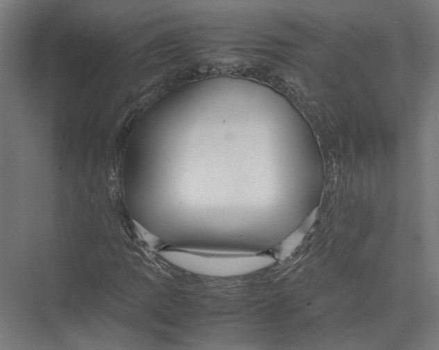 X0000075381109200610061831