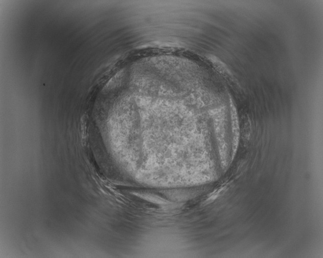 X0000075381110200610061831