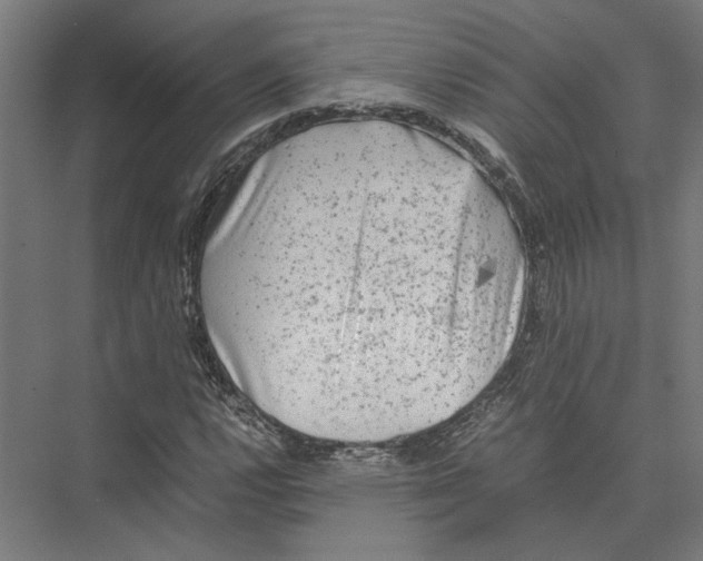 X0000075381112200610061831