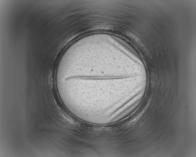 X0000075381113200610061831