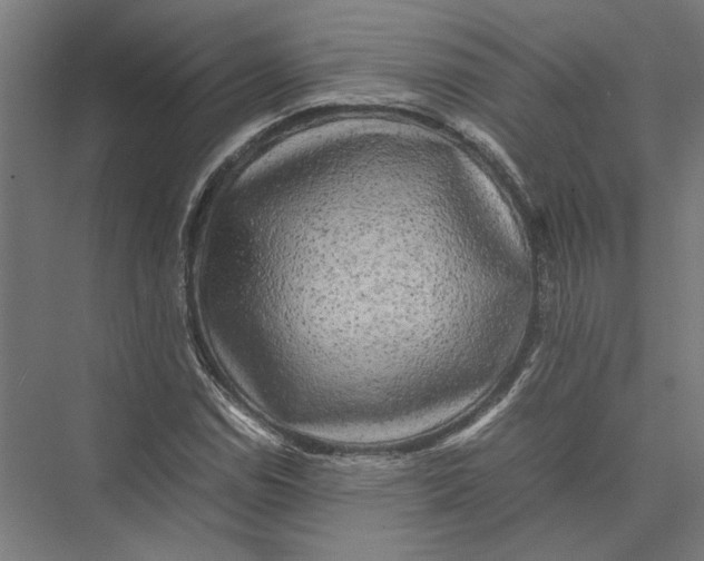 X0000075381114200610061831