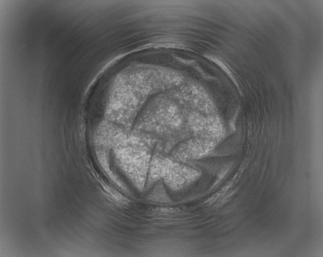 X0000075381115200610061831