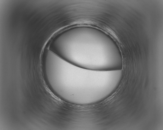 X0000075381116200610061832