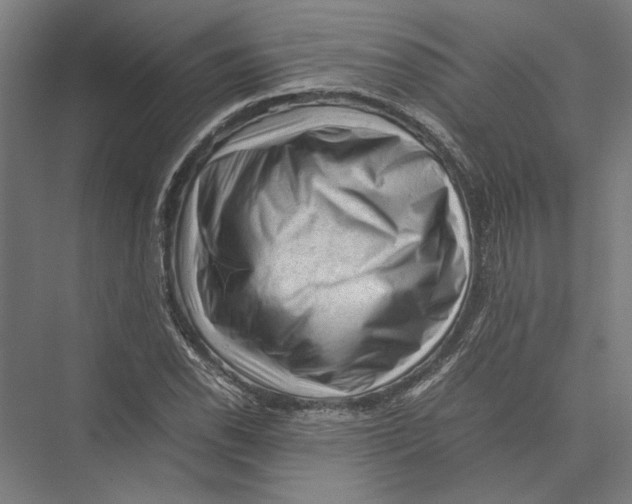 X0000075381118200610061832