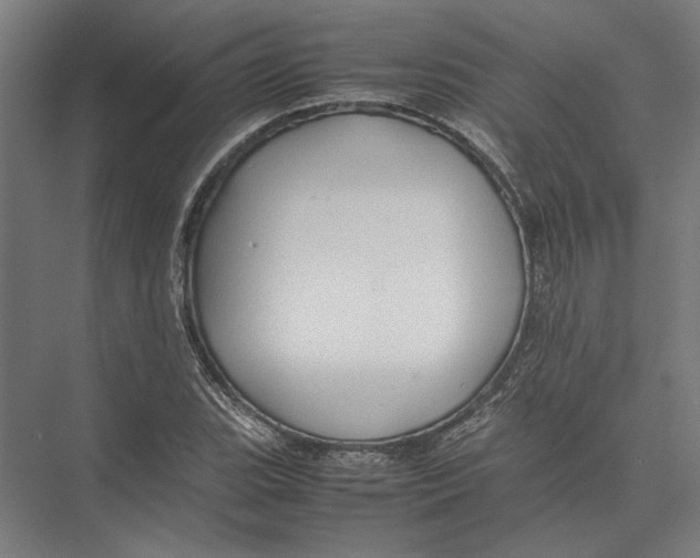 X0000075381119200610061832