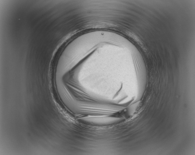 X0000075381122200610061832