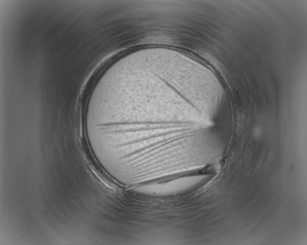 X0000075381123200610061832