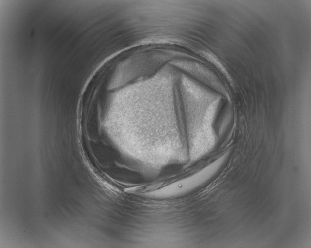 X0000075381124200610061832